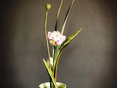 -荷兰布尔玛国际花艺学院