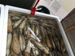 -蚝专家(北滘店)