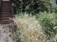 -慢丽江·云南野生菌土鸡锅(西山店)