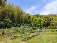 -宁波浙东大竹海景区