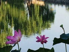 -北海公园-停车场