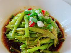 炝拌黄花-凯鸽酒楼(振兴街店)