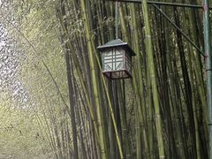 -竹泉村旅游度假区