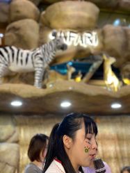 -卡通尼·Safari非洲探索乐园·生日会(金桥国际商业广场店)