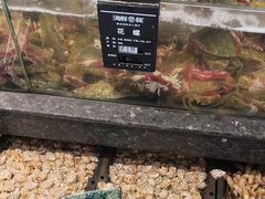 -海鲜e族(马王堆店)