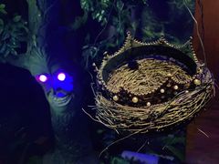 -逃脱反斗城沉浸剧情密室(北京路店)