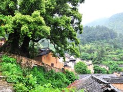-杨家堂村