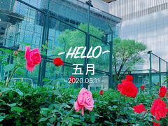 -国贸中心·国贸大厦三期