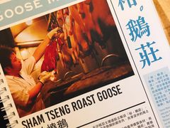 -裕.鹅庄