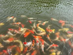 -歌斐颂巧克力小镇