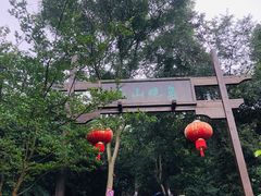 -洈水景区