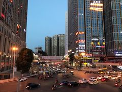 -杨姨妈丝娃娃(花果园店)