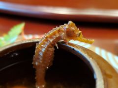 -鹏湾.壹号