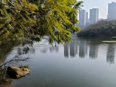-重庆彩云湖湿地公园