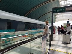 -龙阳路磁悬浮列车总站-停车场