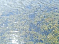 -滆湖低碳生态公园