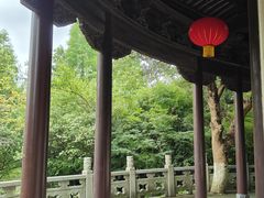 -八大山人梅湖景区