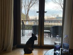 -春晖园度假酒店温泉