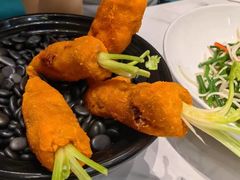 -丁老爷子苏香圆