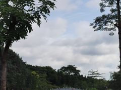 -映月湖公园