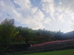 -宁波浙东大竹海景区