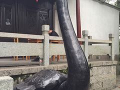 -桐君山春江扬帆码头