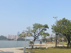 -顺峰山公园