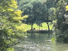 -中国茶叶博物馆(双峰馆区)
