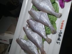 深海鱼-川西坝子(老军营店)