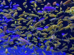 -成都浩海立方海洋公园