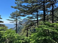 -黄山风景区