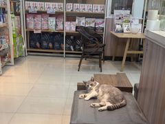 -瑞鹏宠物医院·内科·中兽医·骨科(苗圃店)
