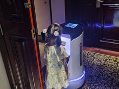 -深圳富苑皇冠假日套房酒店