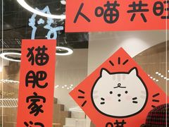 -COLOR PETS 撸猫馆·购猫·猫咖(长风大悦城店)