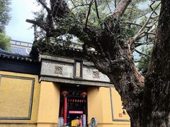 -无锡惠山寺