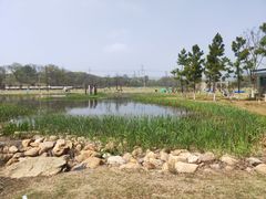 -佛手湖郊野公园