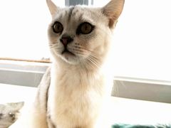 -共舞时光猫咖·狗咖(新街口店)