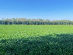 -汉长安城未央宫国家考古遗址公园