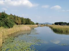 -苏州太湖湖滨国家湿地公园