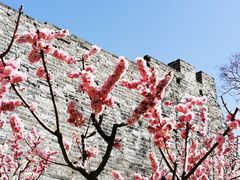 -北京明城墙遗址公园