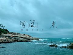 -广东惠东海龟国家级自然保护区