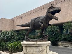 -自贡恐龙博物馆