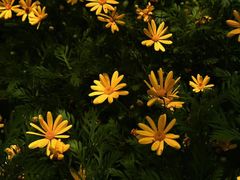 -蠡湖大桥公园