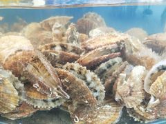 -晓伟海鲜家常菜