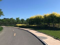 -天津东丽湖风景区