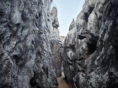 -千岛湖石林