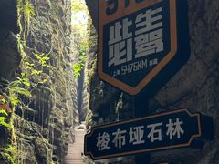 -梭布垭石林景区