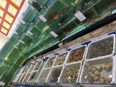 -海岛渔村大酒店(云霄路店)