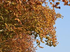 -北山街历史文化街区