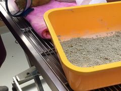 -瑞鹏宠物医院·宠保定点·心脏科·内科(御桥分院)
